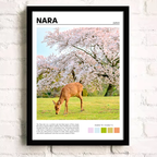 Framed print of a deer in a cherry blossom garden with 'Nara, Japan' text.
