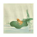Frog on a lily pad with a minimal background