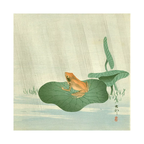 Frog on a lily pad with a minimal background