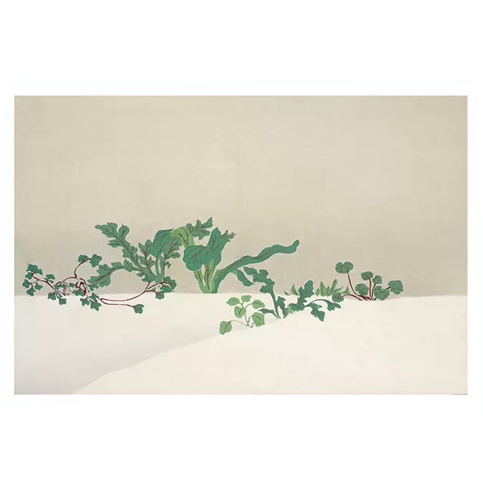 Kamisaka Sekka Ukiyo-e Zen Style Canvas Print Seven Herbs