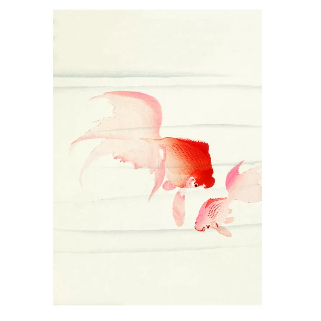 Two pink goldfish on a light beige background