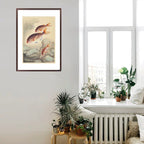 Framed artwork of fish on a wall with plants and a window in the background