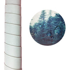 Canvas Printed Toad Painting